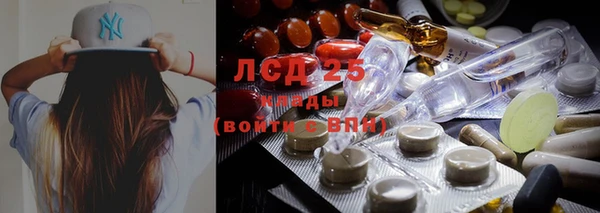 стафф Волоколамск