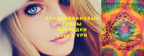 шишки Волосово