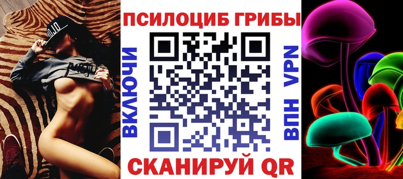 где можно купить наркотик  Артём  Галлюциногенные грибы GOLDEN TEACHER 